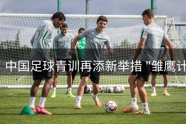 中国足球青训再添新举措 "雏鹰计划"助力小将赴西班牙深造